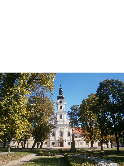 Katedrala Bjelovar